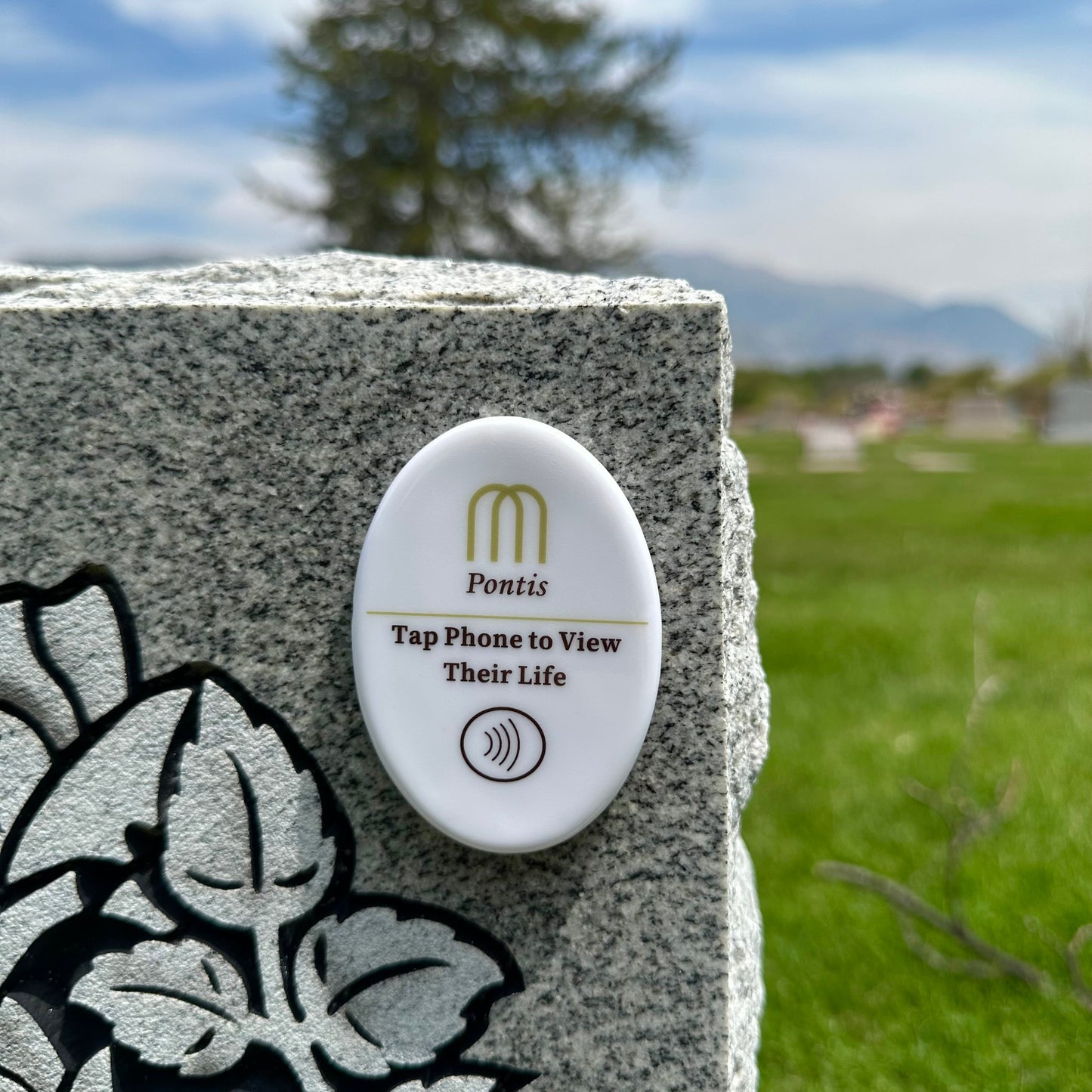 Pontis Memory Stone connected to a digital memorial in a cemetery