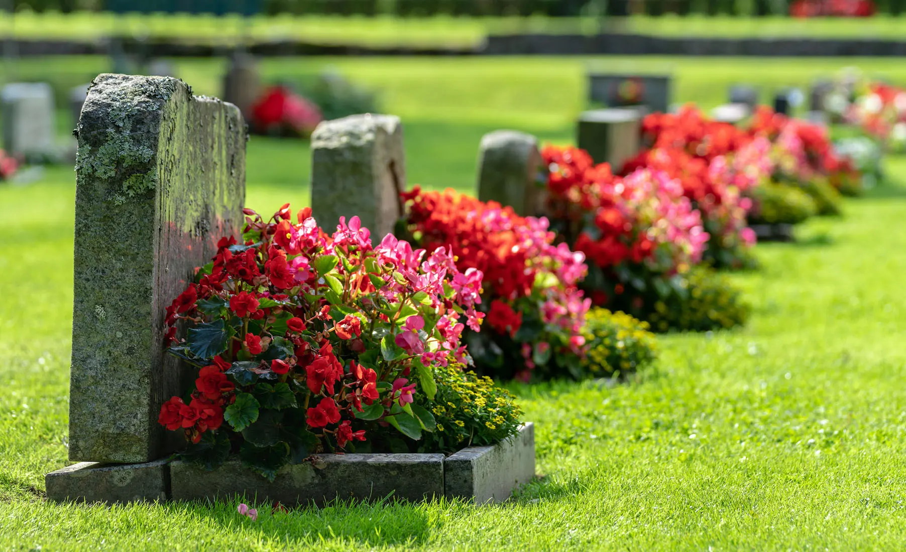 Cemetery